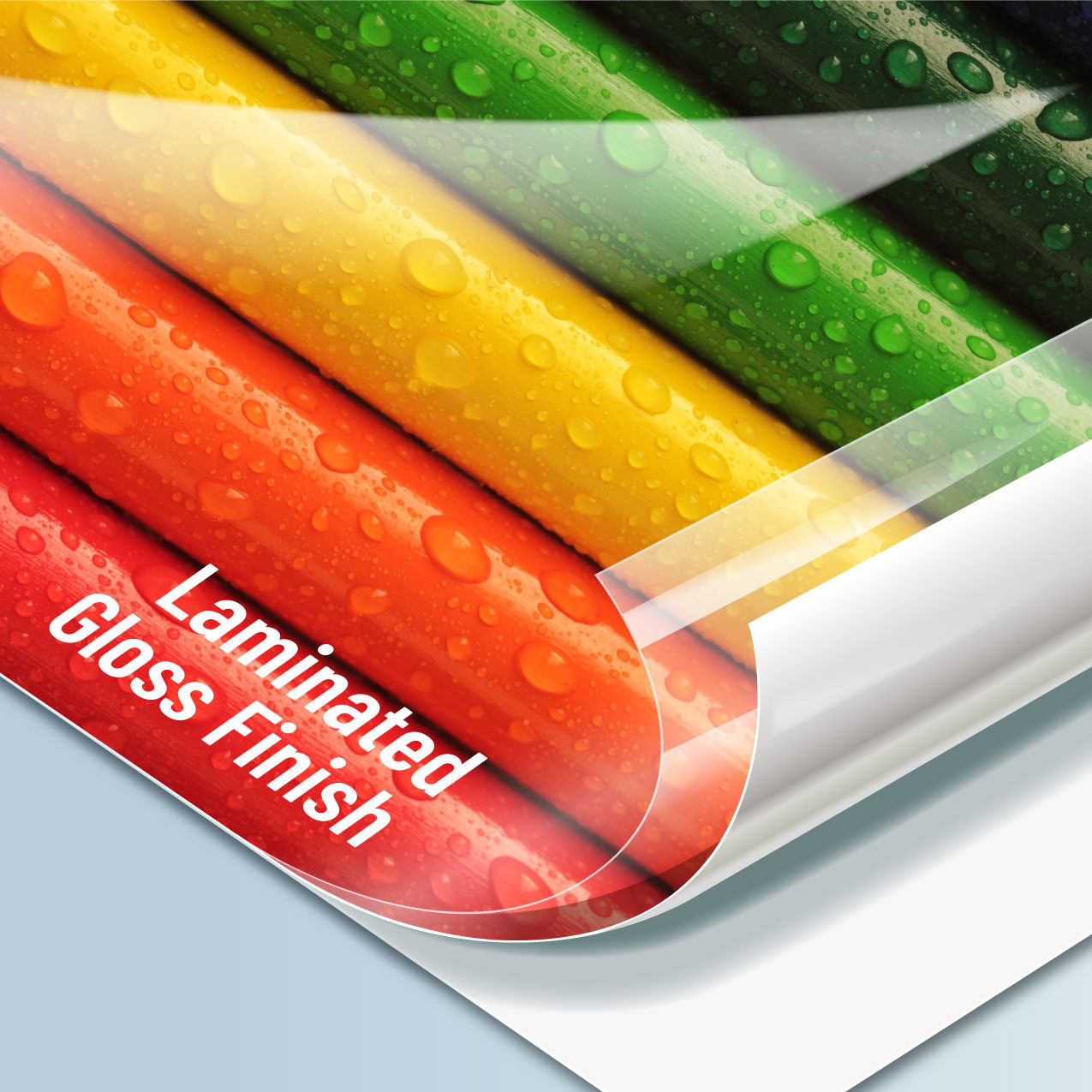 Laminado transparente monomérico para protección| Filmtex DGCAL 4100|