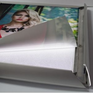 Backlit translucido para tinta agua y latex Rollo 1,52 x 7